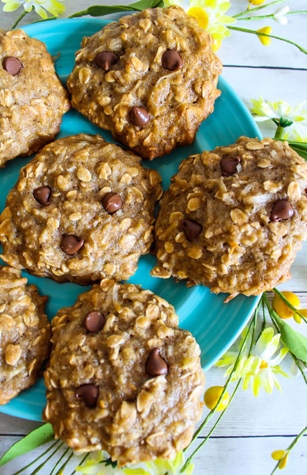 Ww Oatmeal Cookies
 Weight Watchers Cookies – BEST WW Banana Oatmeal Chocolate