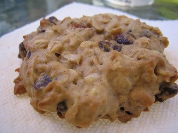 Ww Oatmeal Cookies
 WeightWatchers Applesauce Oatmeal Cookies Recipe – Weight