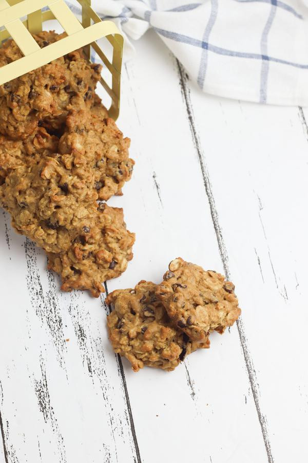 Ww Oatmeal Cookies
 Weight Watchers Oatmeal Chocolate Chip Cookies – BEST WW
