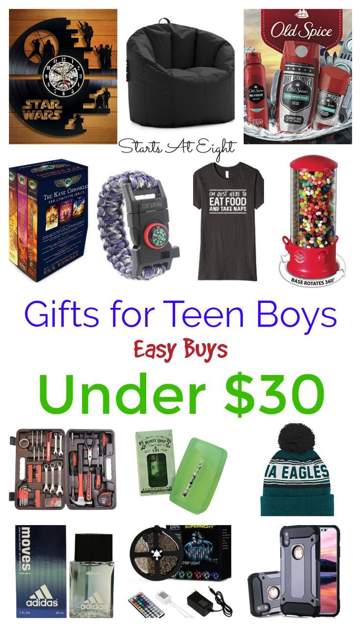 Xmas Gift Ideas For Boys
 Gifts for Teen Boys Easy Buys Under $30