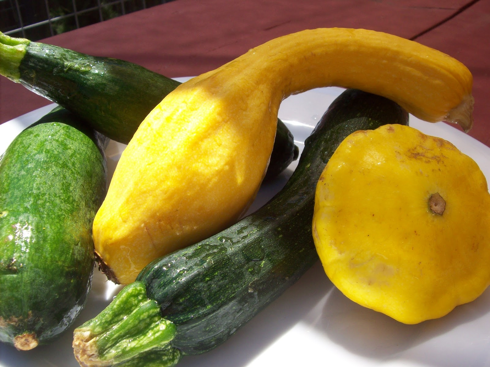Yellow Summer Squash
 Napa Farmhouse 1885™ a recipe for healthy summer squash
