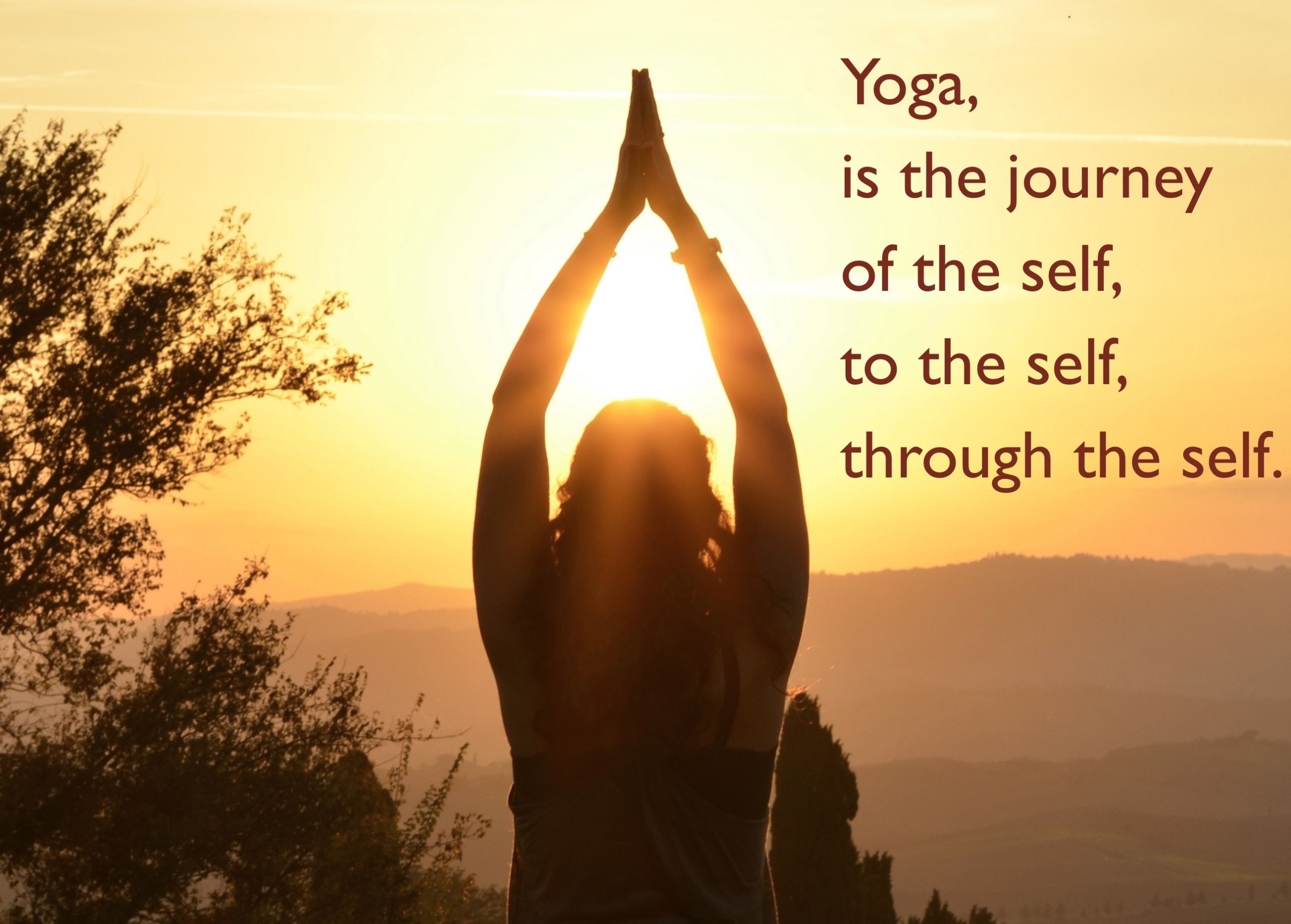 Yoga Quotes About Life
 Quotes on Yoga & Life