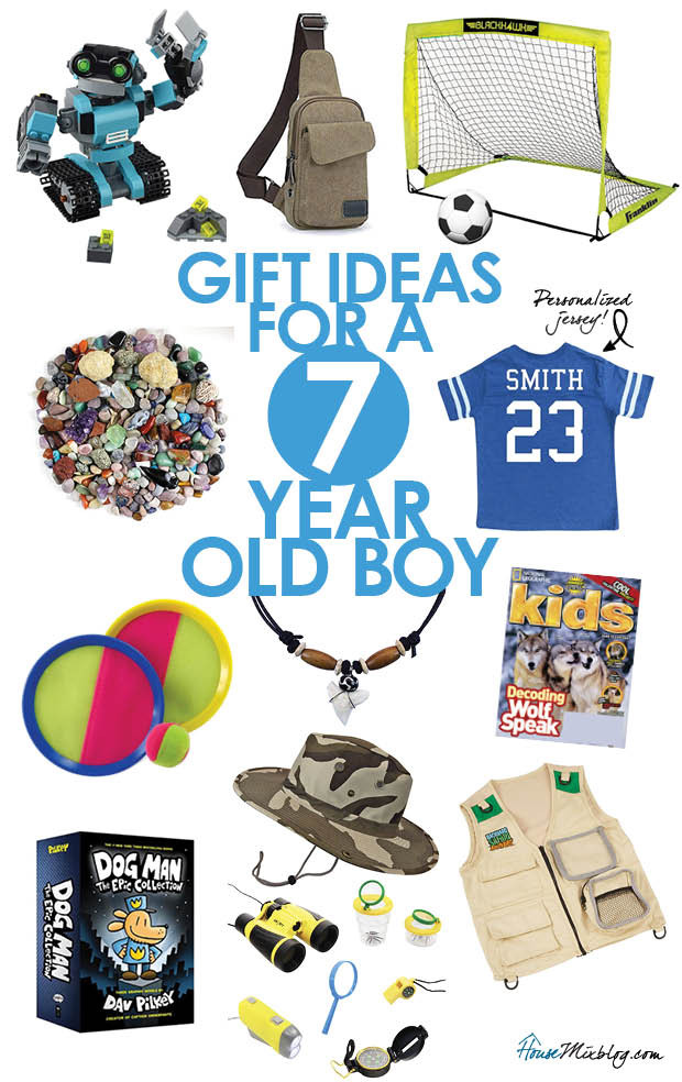 7 Year Old Boy Christmas Gift Ideas
 Gift ideas for a 7 year old boy