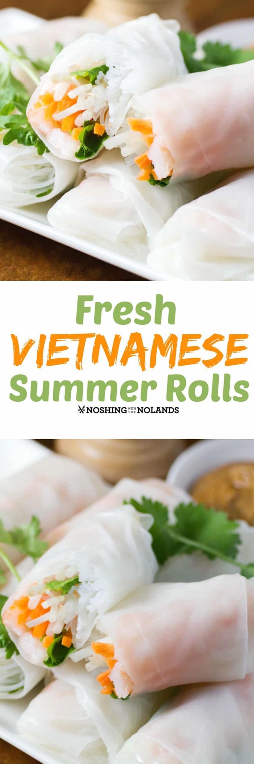 Authentic Vietnamese Summer Rolls Recipe
 Fresh Vietnamese Summer Rolls