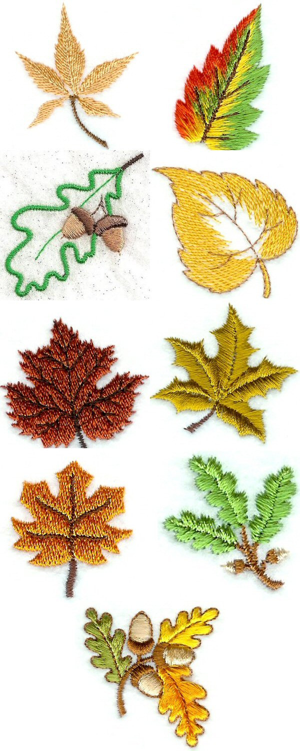 Autumn Leaves Design
 Machine Embroidery Designs Mini Autumn Leaves Set