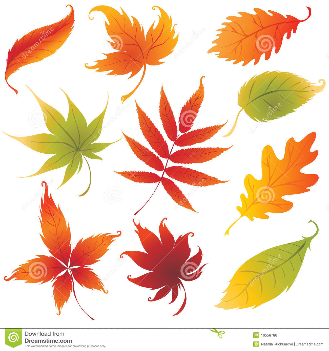 Autumn Leaves Design
 Set Autumn Leaves Design Elements Royalty Free Stock