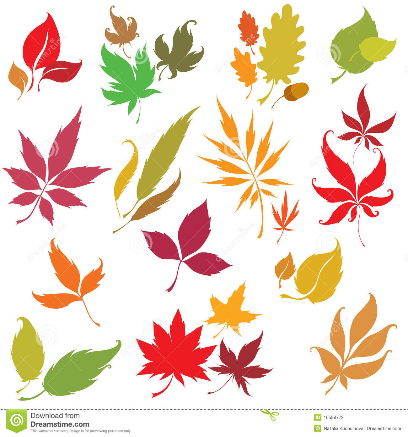 Autumn Leaves Design
 Set Autumn Leaves Design Elements Stock Vector