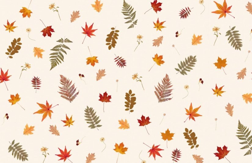 Autumn Leaves Design
 Pressed Leaf Wallpaper Autumnal Design