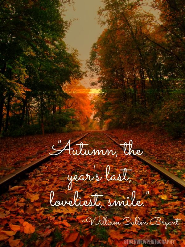 Autumn Love Quote
 "Autumn the year s last loveliest smile " William