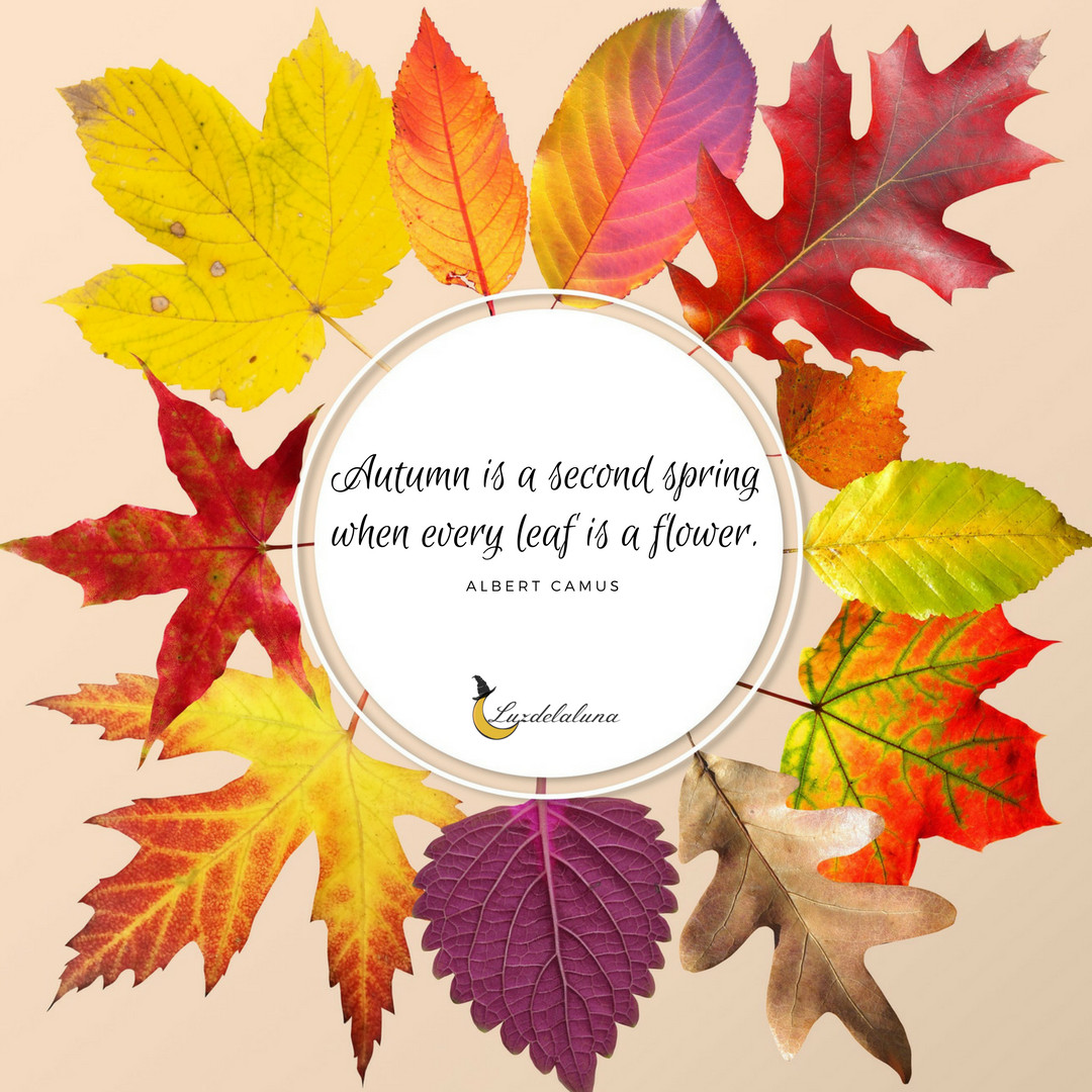 Autumn Love Quote
 20 Beautiful Autumn Quotes That Will Make You Fall In Love