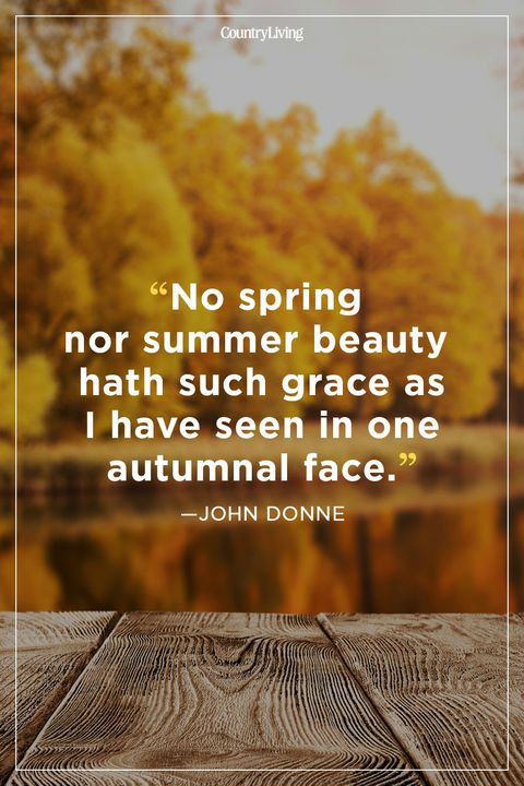 Autumn Love Quote
 52 Fall Season Quotes Best Sayings About Autumn
