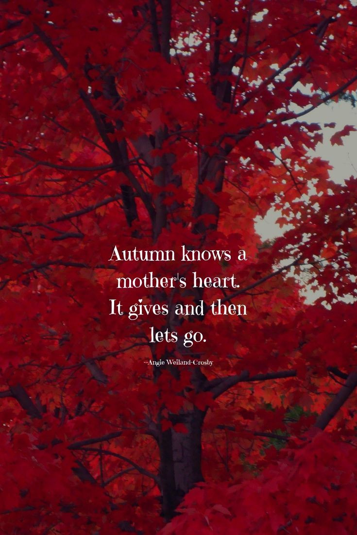 Autumn Love Quote
 Quotes Tools and Inspiration for your Soul