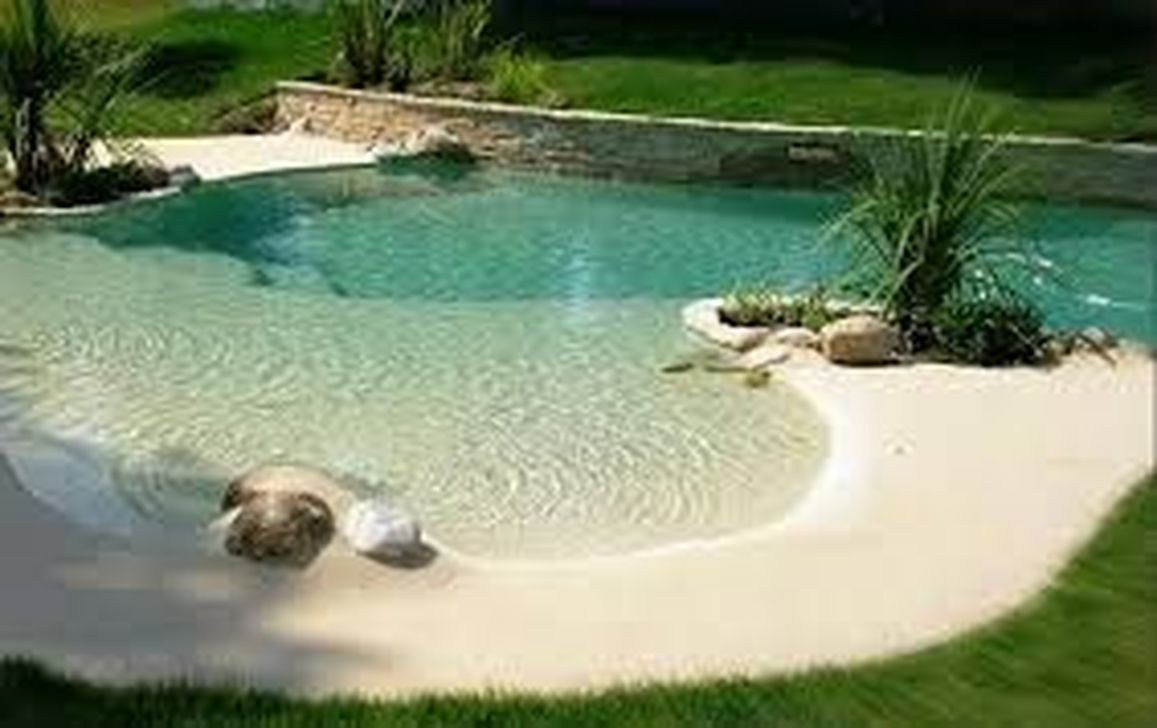 Backyard Beach Pool
 42 Awesome Natural Small Pools Design Ideas Best For