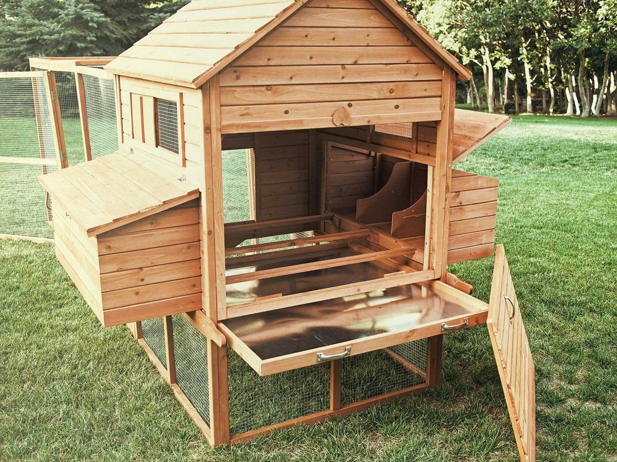Backyard Chicken Coop Ideas
 15 Creative and Low Bud DIY Chicken Coop Ideas for Your