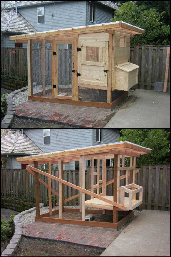 Backyard Chicken Coop Ideas
 22 Low Bud DIY Backyard Chicken Coop Plans