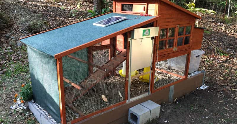 Backyard Chicken Coop Ideas
 11 Backyard Chicken Coop Ideas for Aspiring Homesteaders