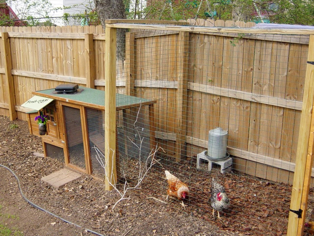 Backyard Chicken Coop Ideas
 Chicken Coops for Backyard Flocks
