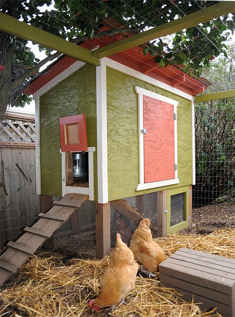 Backyard Chicken Coop Ideas
 10 Free Backyard Chicken Coop Plans