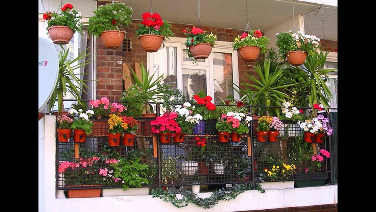 Backyard Planting Ideas
 [Garden Ideas] Balcony plant pots ideas