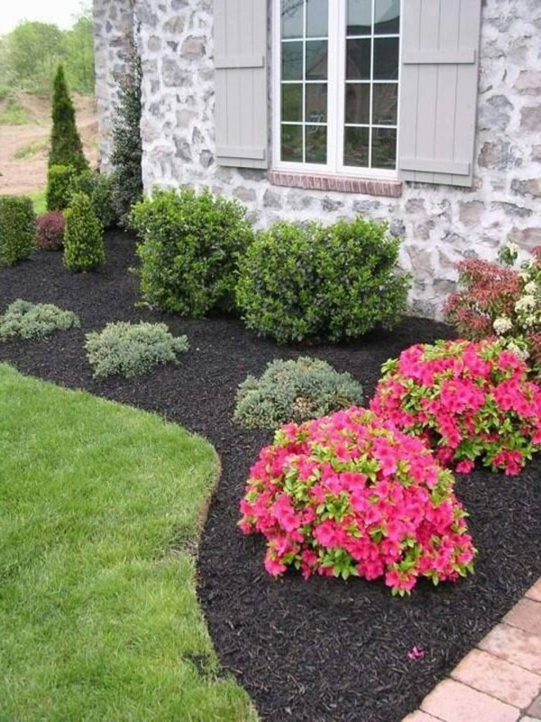 Backyard Planting Ideas
 10 Front Yard Landscaping Ideas for Your Home