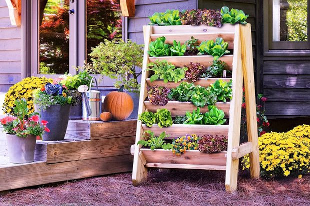 Backyard Planting Ideas
 16 Genius Vertical Gardening Ideas For Small Gardens