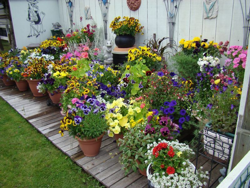 Backyard Planting Ideas
 10 Pretty Container Gardens That Are Perfect For Any Home