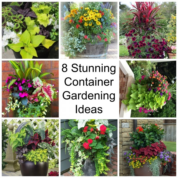 Backyard Planting Ideas
 8 Stunning Container Gardening Ideas – Home and Garden