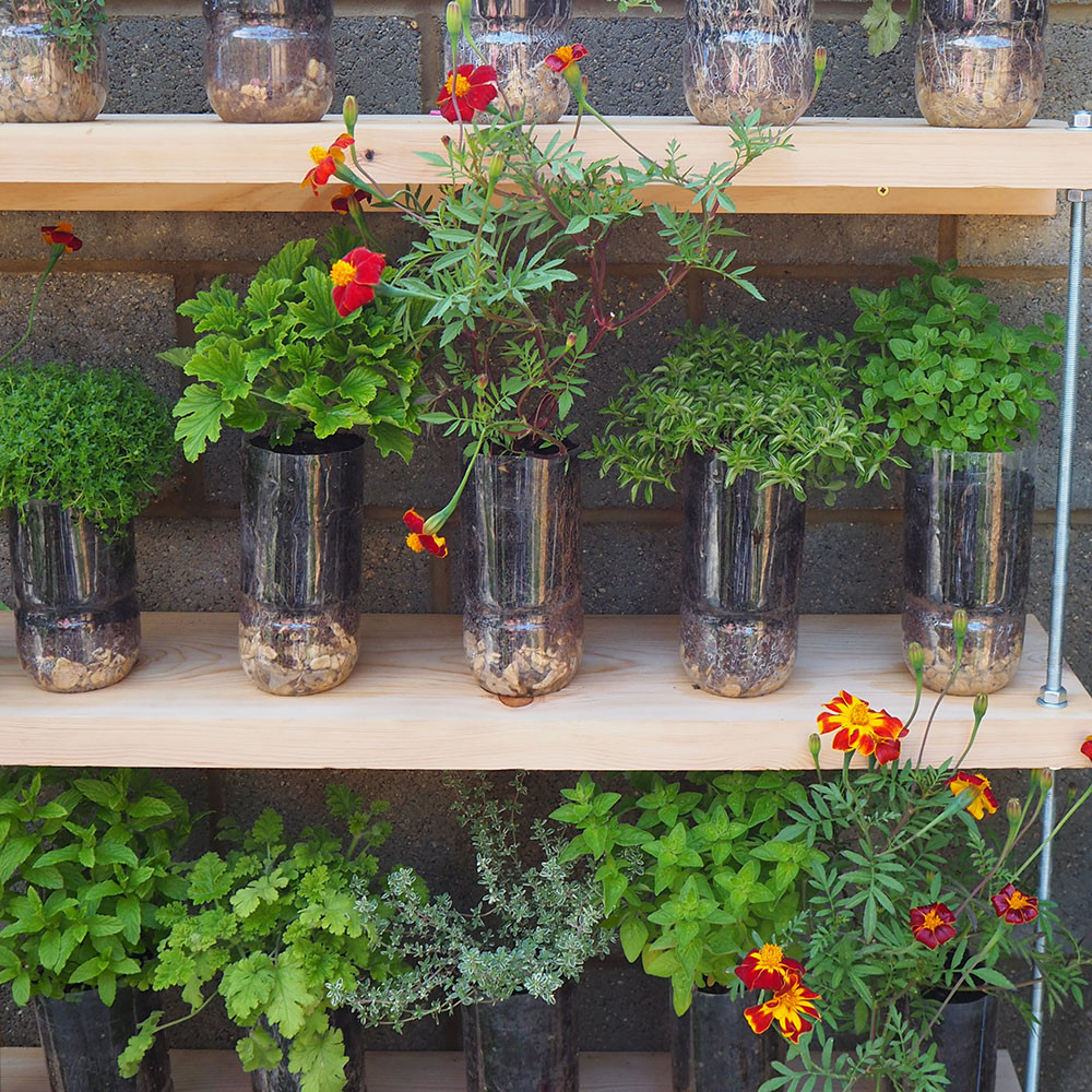 Backyard Planting Ideas
 Bud garden ideas – cheap design changes that have