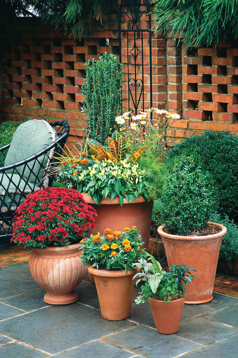 Backyard Planting Ideas
 Spectacular Container Gardening Ideas Southern Living