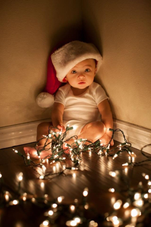 Christmas Picture Ideas
 60 Cutest Merry Christmas DP for Whatsapp