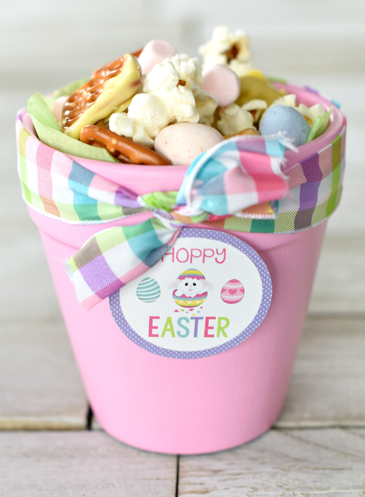 Cute Easter Gifts
 Cute Easter Gift Ideas Hoppy Easter Bunny Pots – Fun Squared