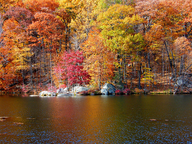 Fall Activities In Rhode Island
 This Fall Foliage Train Ride In Rhode Island Is e A Kind