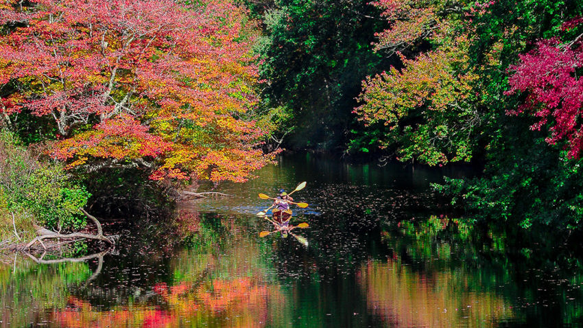 Fall Activities In Rhode Island
 5 places to see fall foliage in Rhode Island