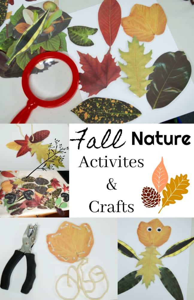 Fall Nature Crafts
 8 Fall Activities & Nature Crafts for Kids Using Leaves