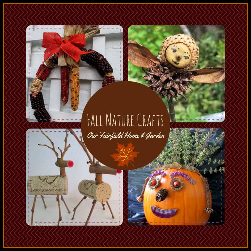Fall Nature Crafts
 DIY Fall Nature Crafts