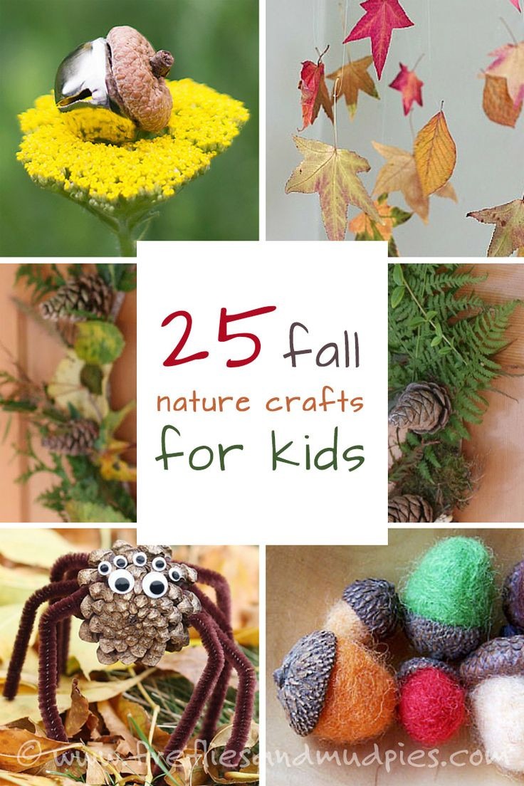 Fall Nature Crafts
 273 best images about FALL FUN on Pinterest