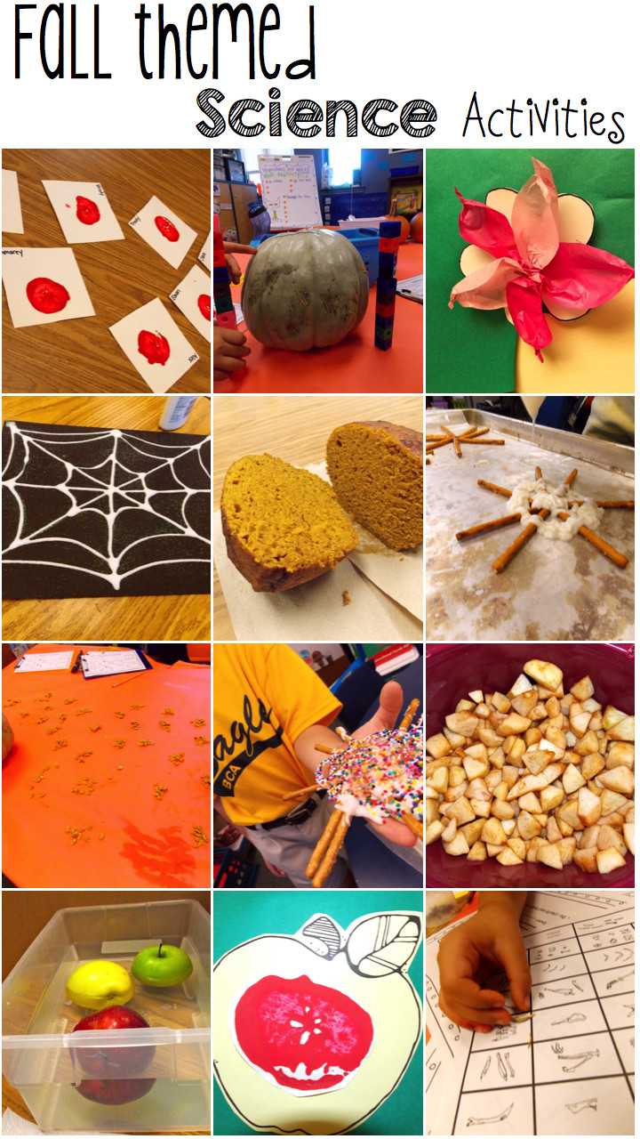 Fall Science Activities For Preschoolers
 A Day in First Grade