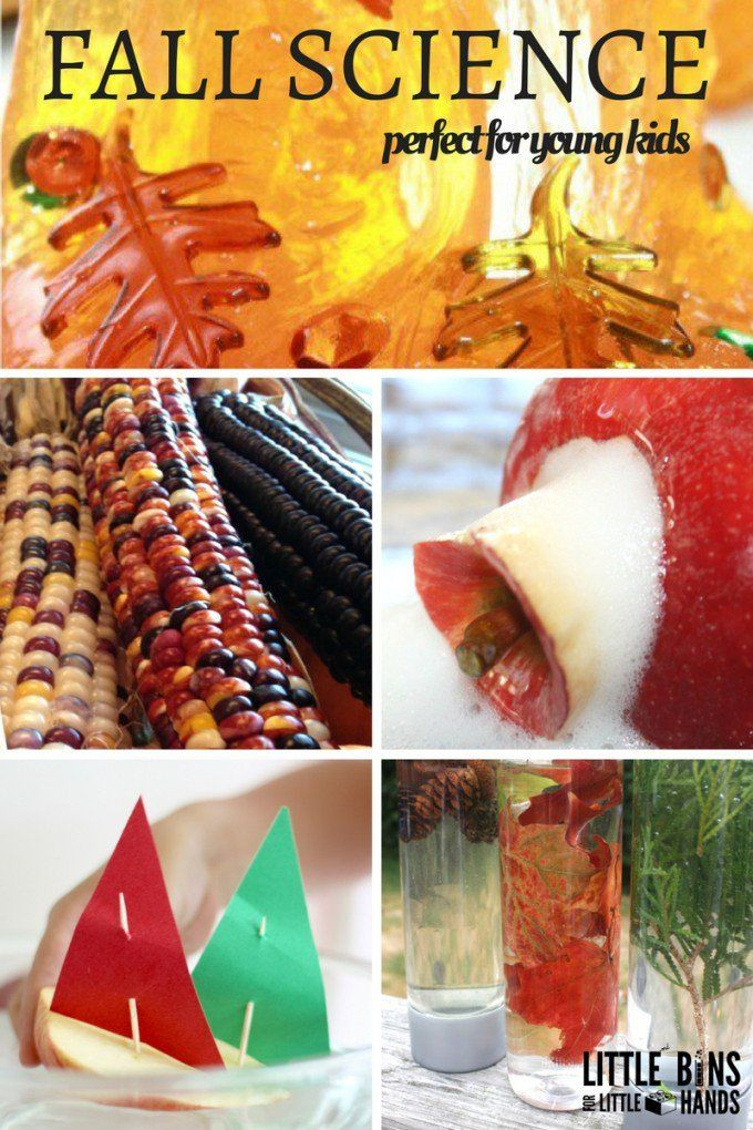 Fall Science Activities For Preschoolers
 Fall Science Activities For Kids