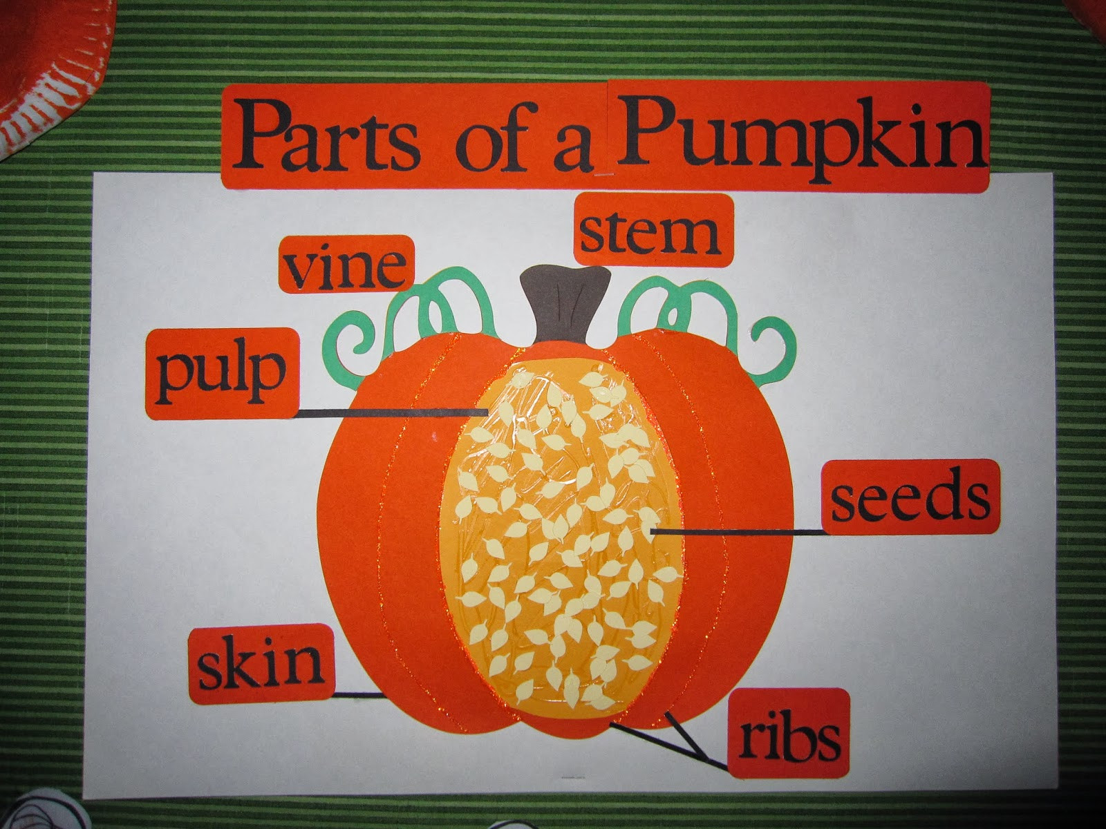 Fall Science Activities For Preschoolers
 Preschool For Rookies What inside a pumpkin