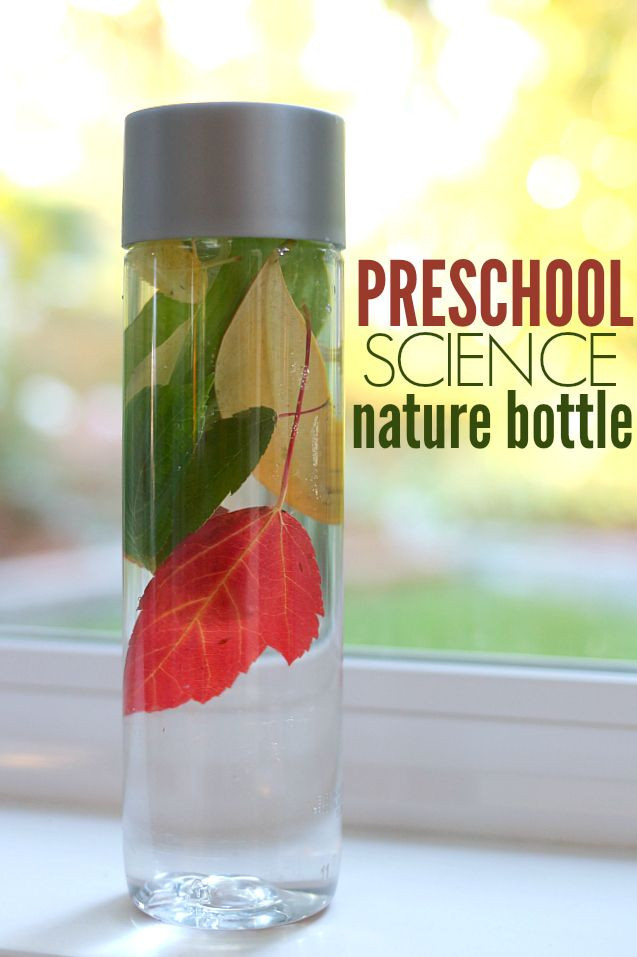 Fall Science Activities For Preschoolers
 Preschool Science Fall Nature Bottle