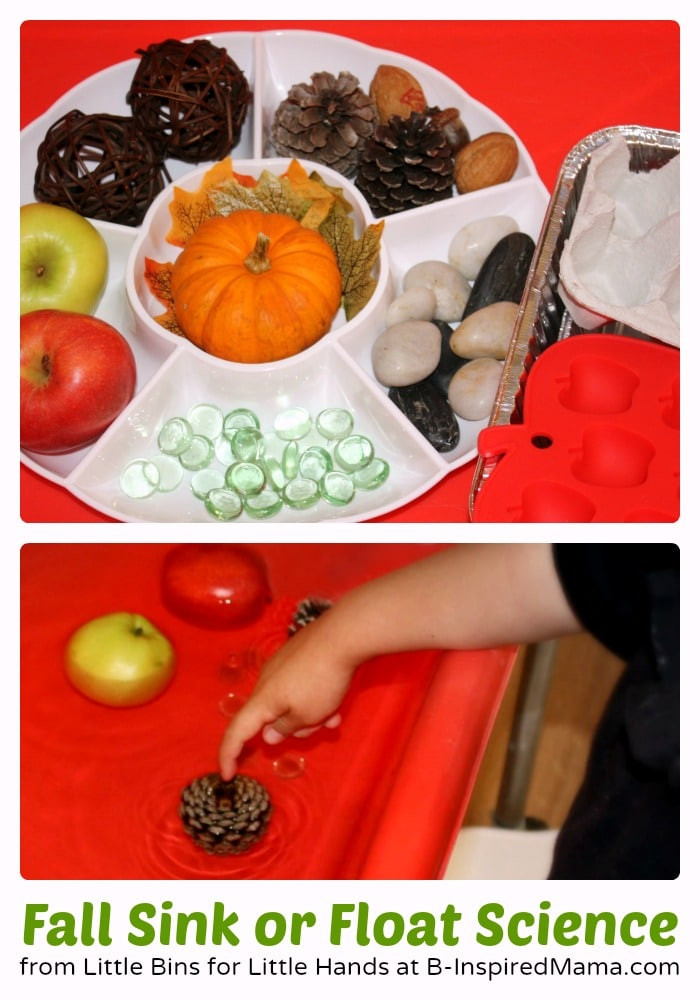 Fall Science Activities For Preschoolers
 A Fun Preschool Science Activity Perfect for Fall