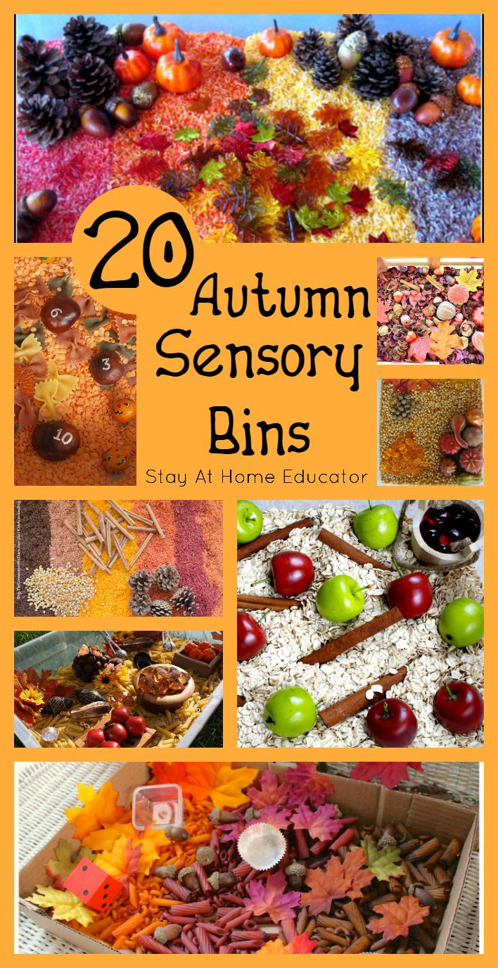 Fall Science Activities For Preschoolers
 20 Autumn Sensory Bins Stay At Home Educator