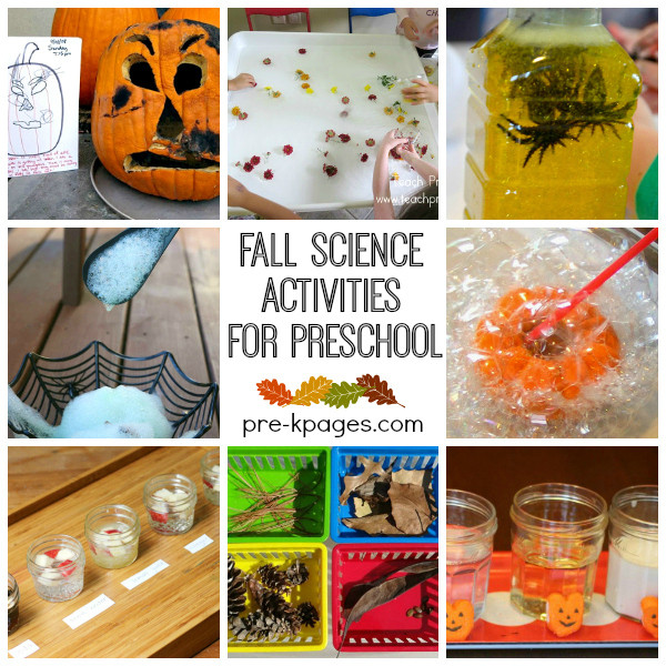 Fall Science Activities For Preschoolers
 Fall Science Activities for Preschool