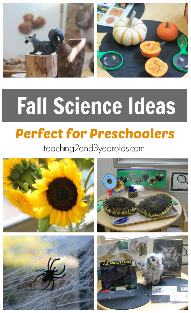 Fall Science Activities For Preschoolers
 Preschool Science Ideas for Fall Teaching 2 and 3 Year Olds