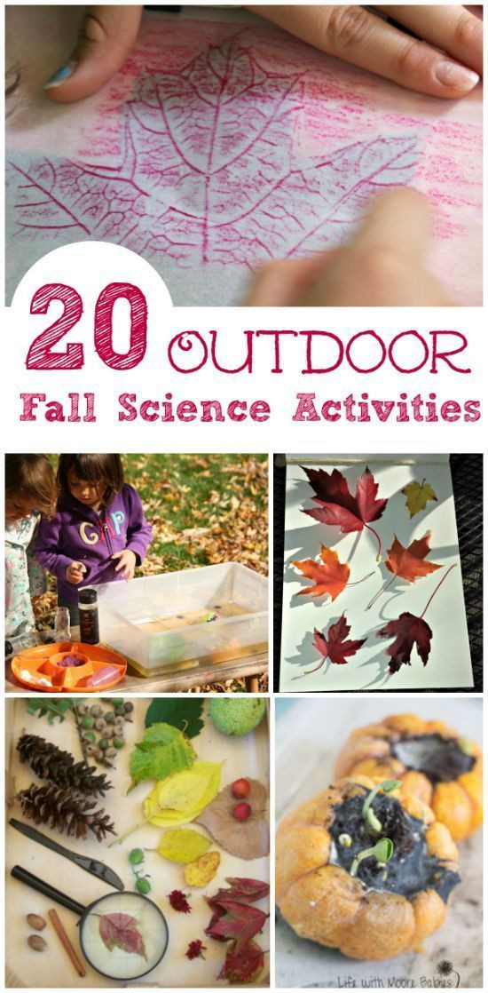 Fall Science Activities For Preschoolers
 460 best images about STEM Activities on Pinterest