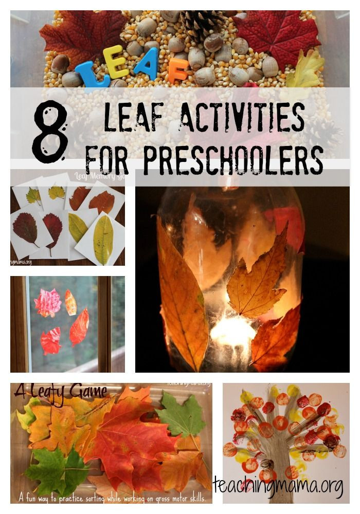 Fall Science Activities For Preschoolers
 313 best images about Fall Autumn Preschool Projects on