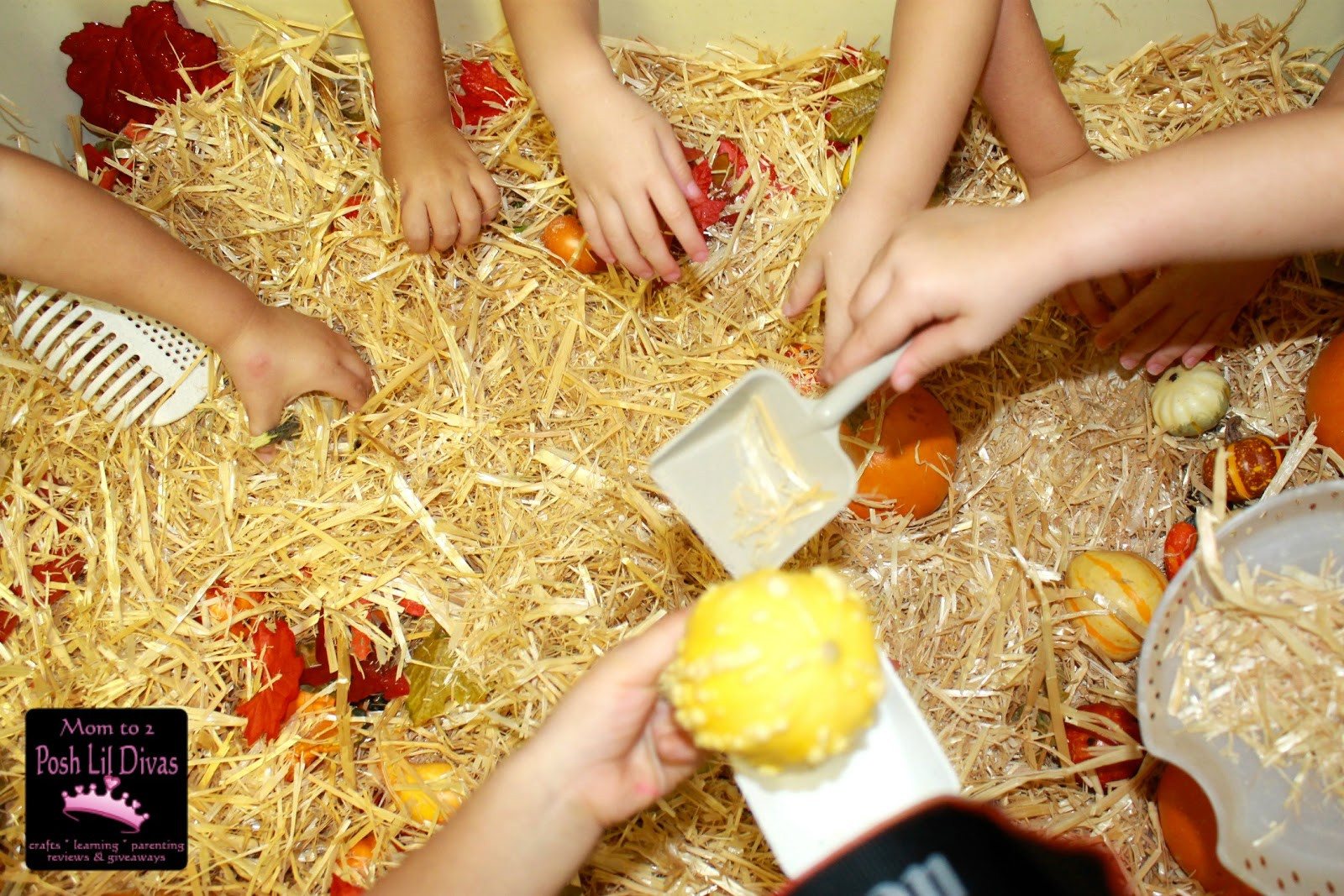 Top 21 Fall Sensory Table Ideas - Home, Family, Style and Art Ideas