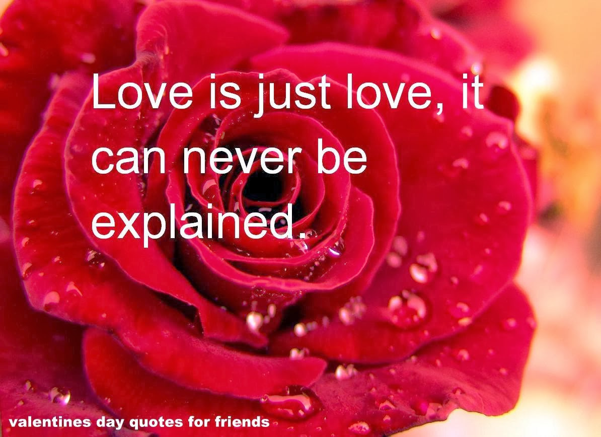 Friend Valentines Day Quotes
 Open Diary