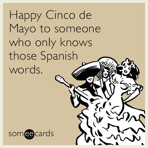 Funny Cinco De Mayo Quotes
 23 Hilarious E Cards That Accurately Summarize Your