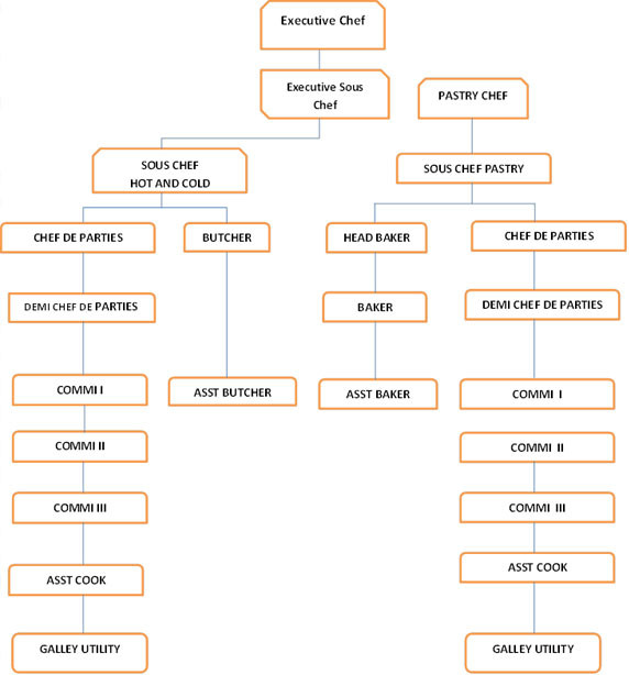 Kitchen Organization Chart
 modern kitchen brigade organizational chart – Yaryak